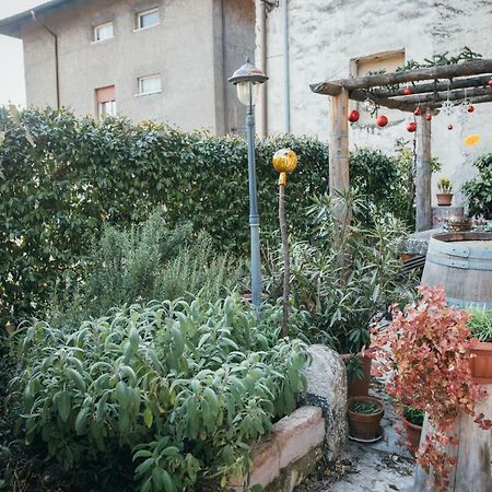 ميزوكورونا B&B Pedelmont المظهر الخارجي الصورة